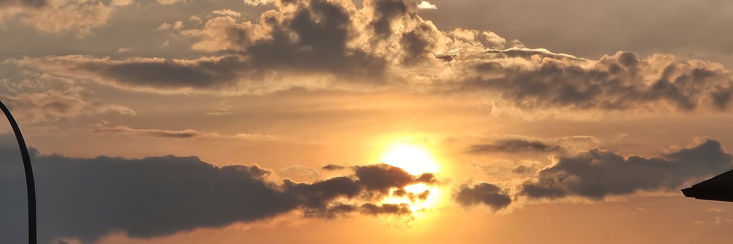 Dave Duncan Hanni banner