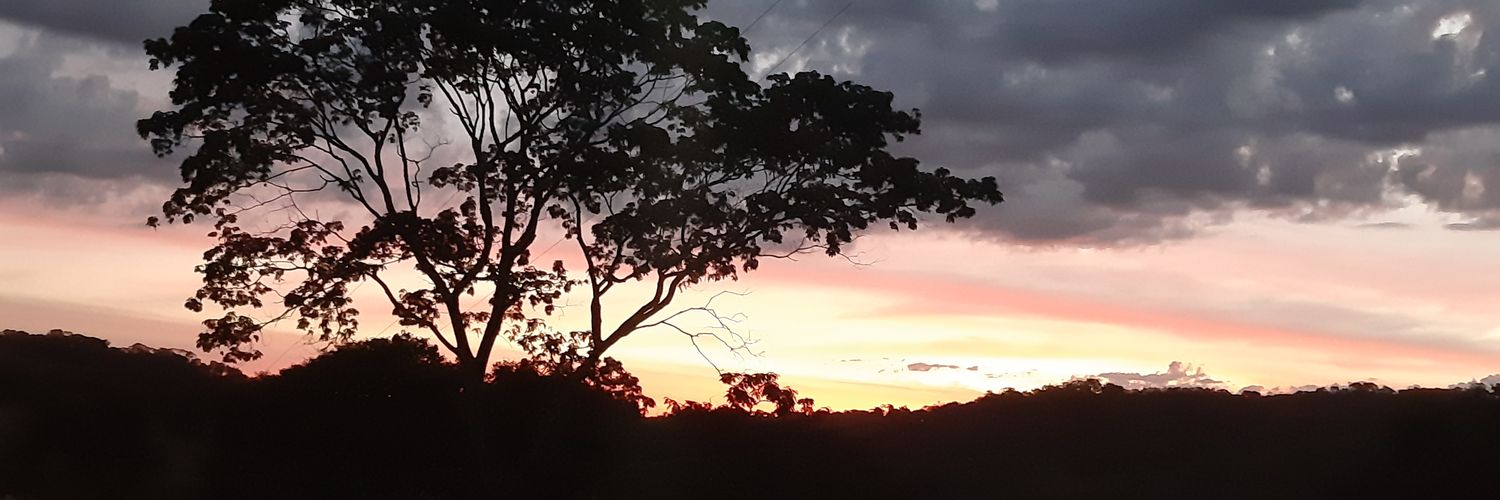 raynerfa's profile banner image