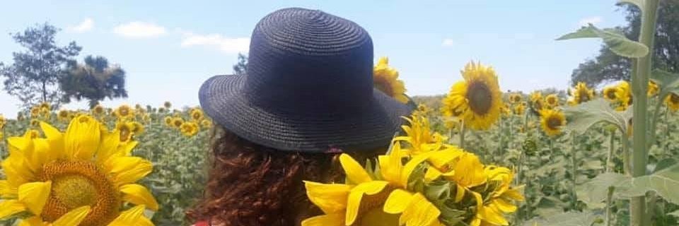 katecy23's profile banner image