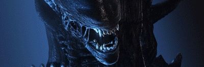windu78250's profile banner image