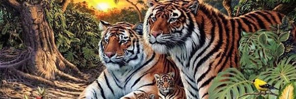 edwardsmorales's profile banner image