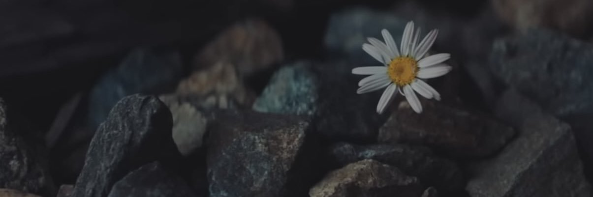kidmanperry's profile banner image