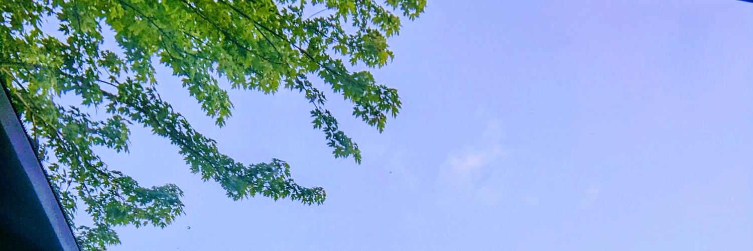 tedbuk29's profile banner image