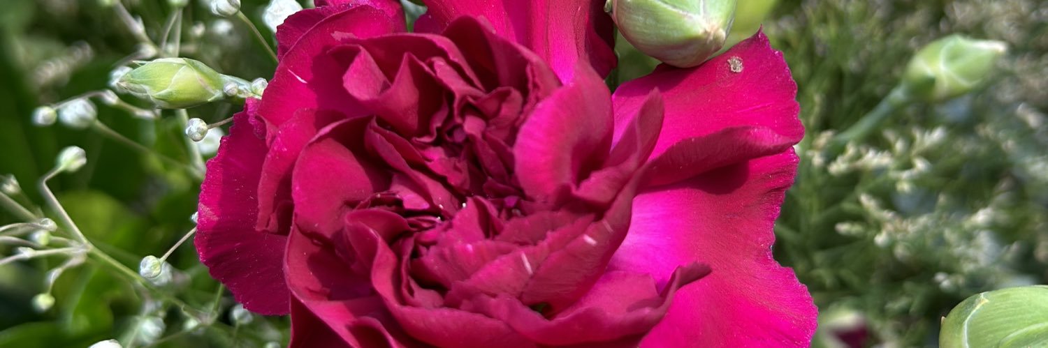 FabsSupertramp's profile banner image