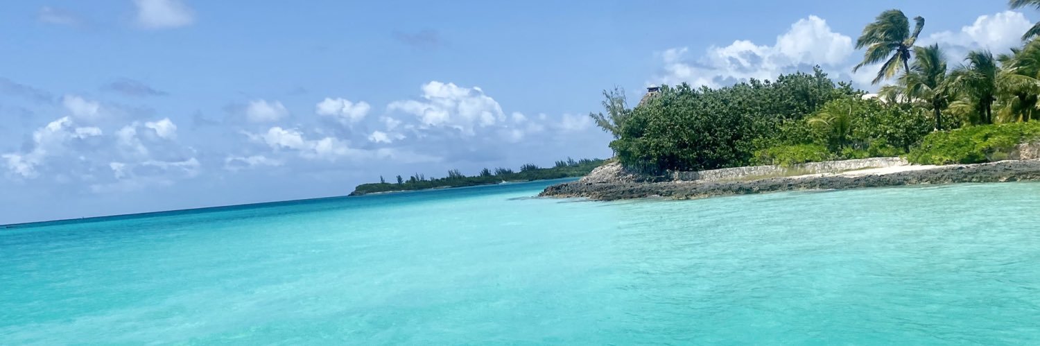 Crystal Torres banner