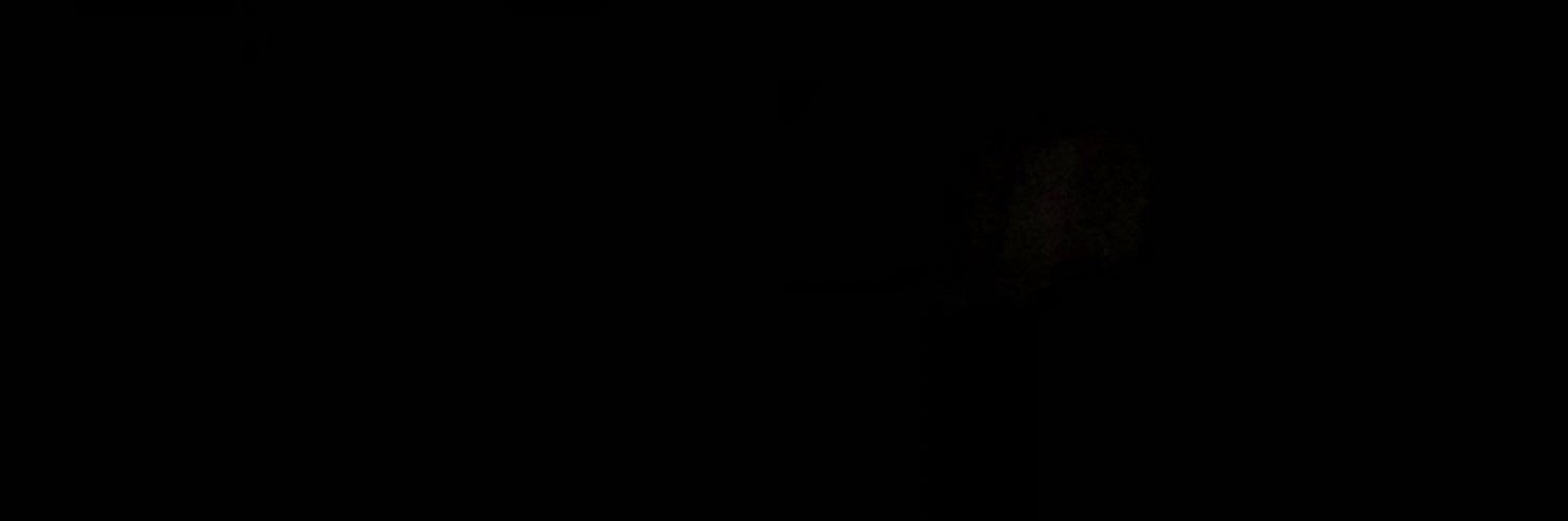 BritSantangelo's profile banner image