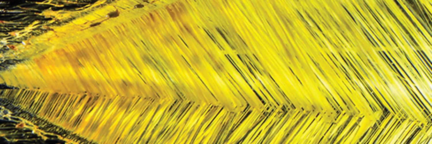 GIAnews's profile banner image