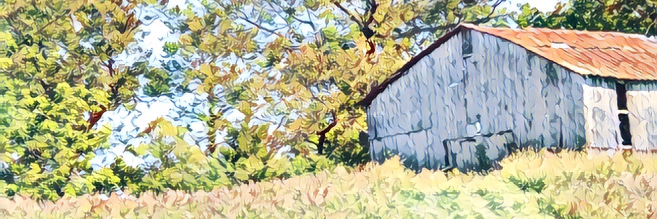 Shannon banner