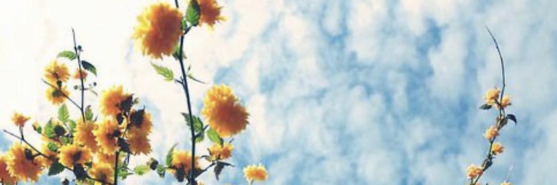 OnlyKimber's profile banner image
