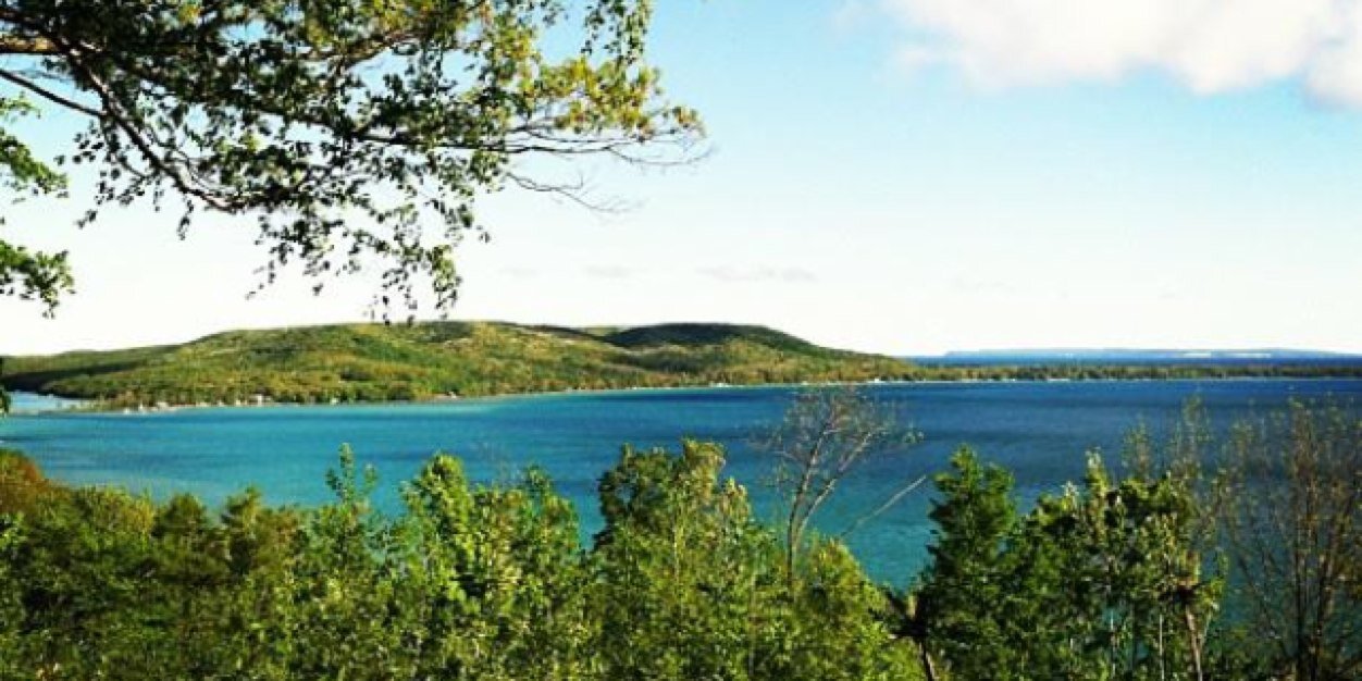 AlisonHarriger's profile banner image