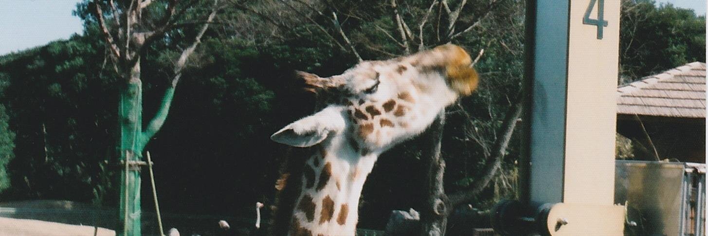 itsukky's profile banner image