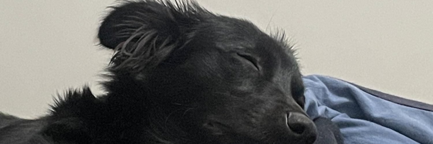 kamillaconk's profile banner image