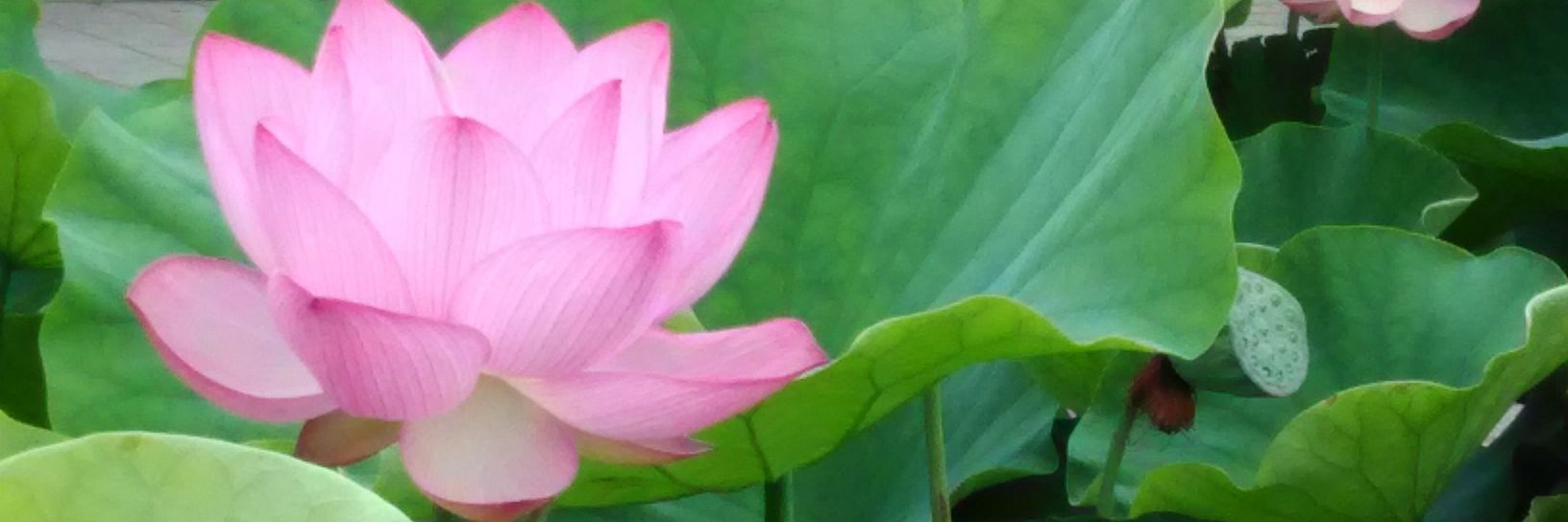 samsara363's profile banner image