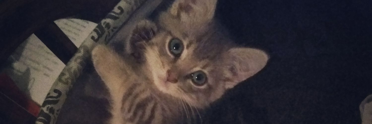 Jakeevaa's profile banner image
