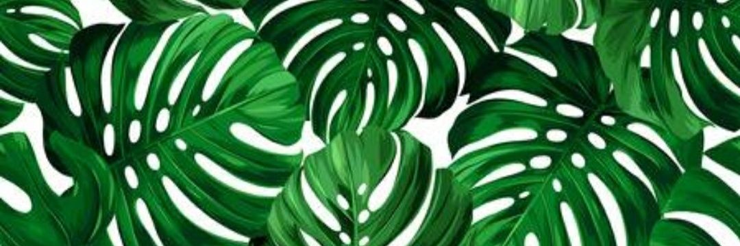 kyaunne's profile banner image