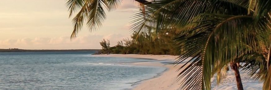 🅰️lê 🌵🧙🏻‍♀️🥂 banner