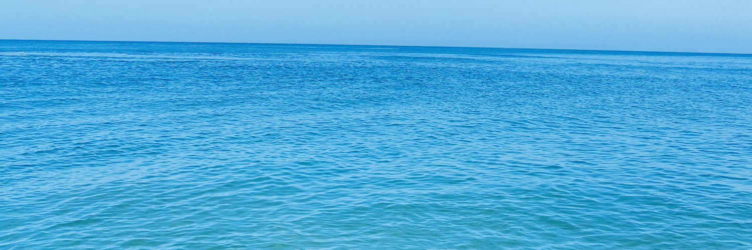 karina Isa Ruiz B. banner
