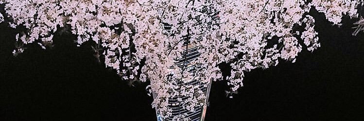 g_alep's profile banner image