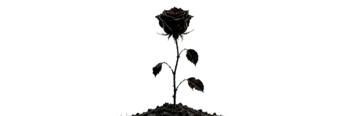 TimuCS2's profile banner image