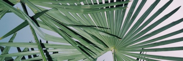 HarrisonLipton Profile Banner