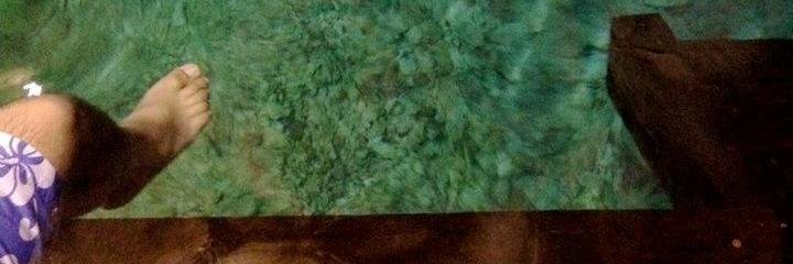 PoloPromote's profile banner image