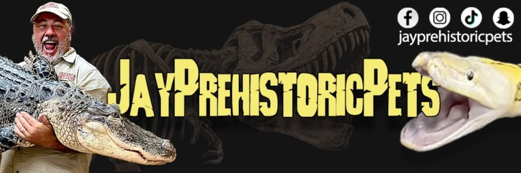 Jay Brewer - Prehistoric Pets banner