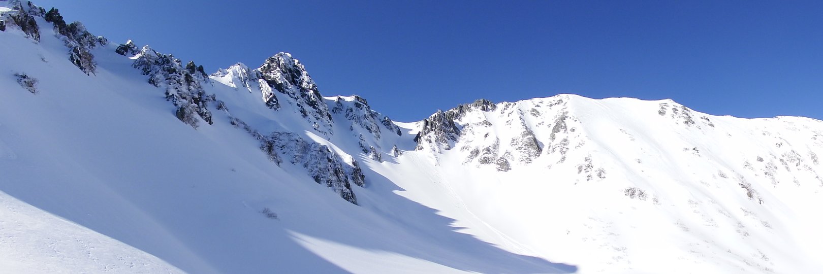 まぼたん24@禁酒12年 banner