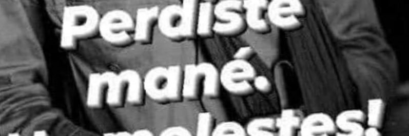 maramelg's profile banner image