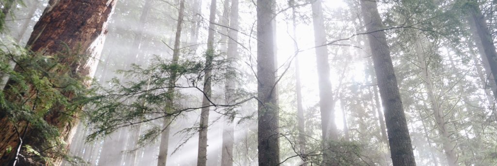 saramwrites's profile banner image