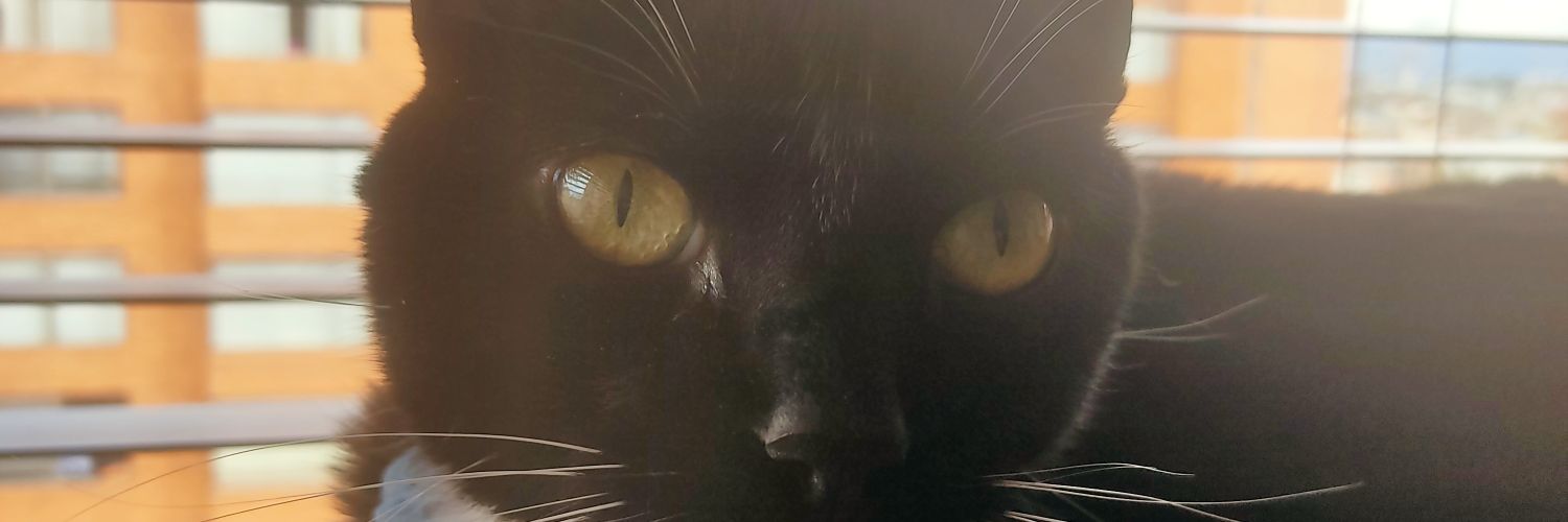 jusemoma's profile banner image