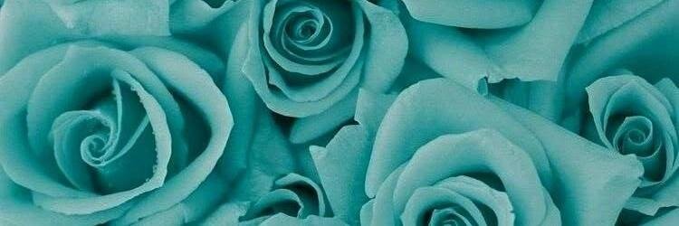 sdz_n's profile banner image