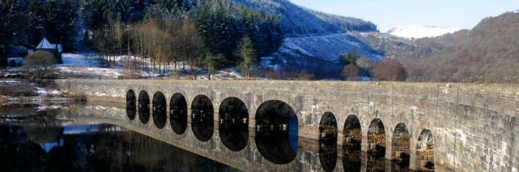 Beatriz Fernandez banner