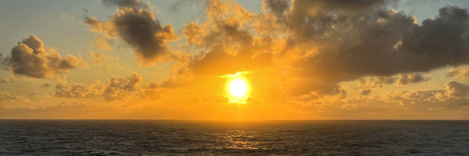 Viniload's profile banner image