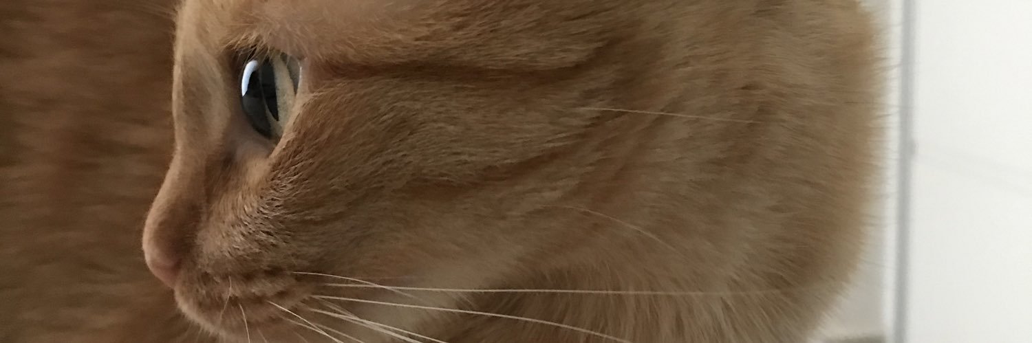 _jjaum_'s profile banner image