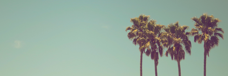 tweetaburger's profile banner image