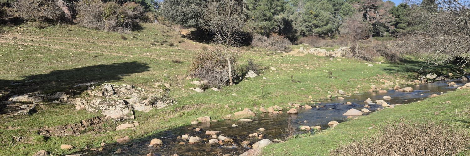 Rafaela Requesens banner