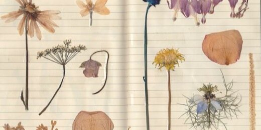 Scarlett Turner banner