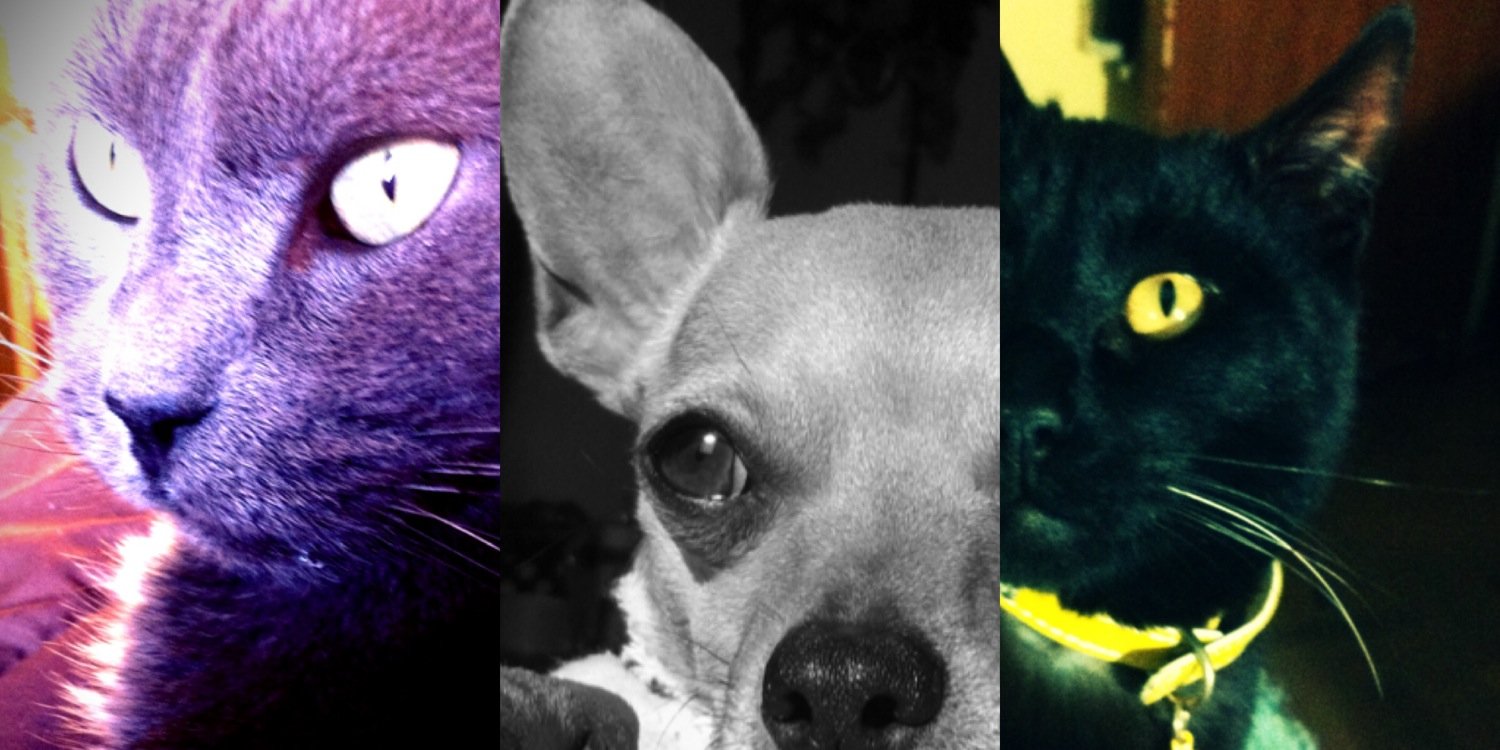 CamiMonreal's profile banner image