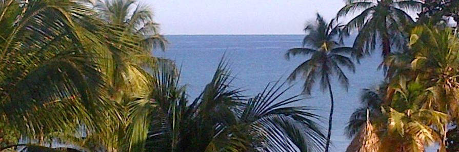 LUISAITALIA's profile banner image