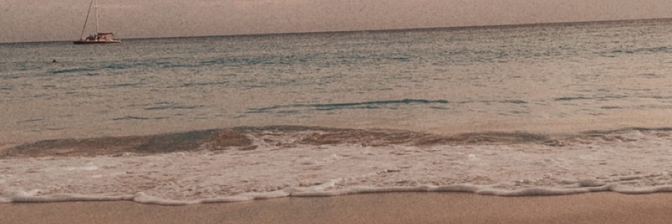shanzkay's profile banner image