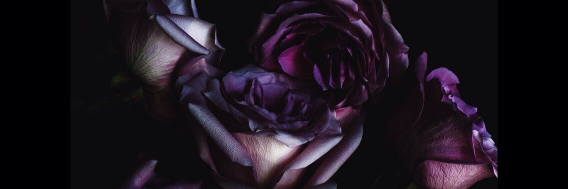 _xoBlueDream's profile banner image