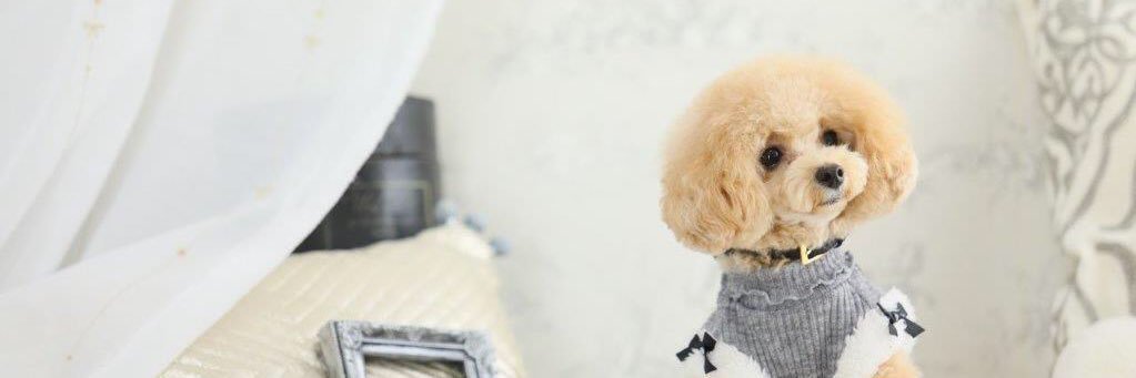 minaminami101's profile banner image