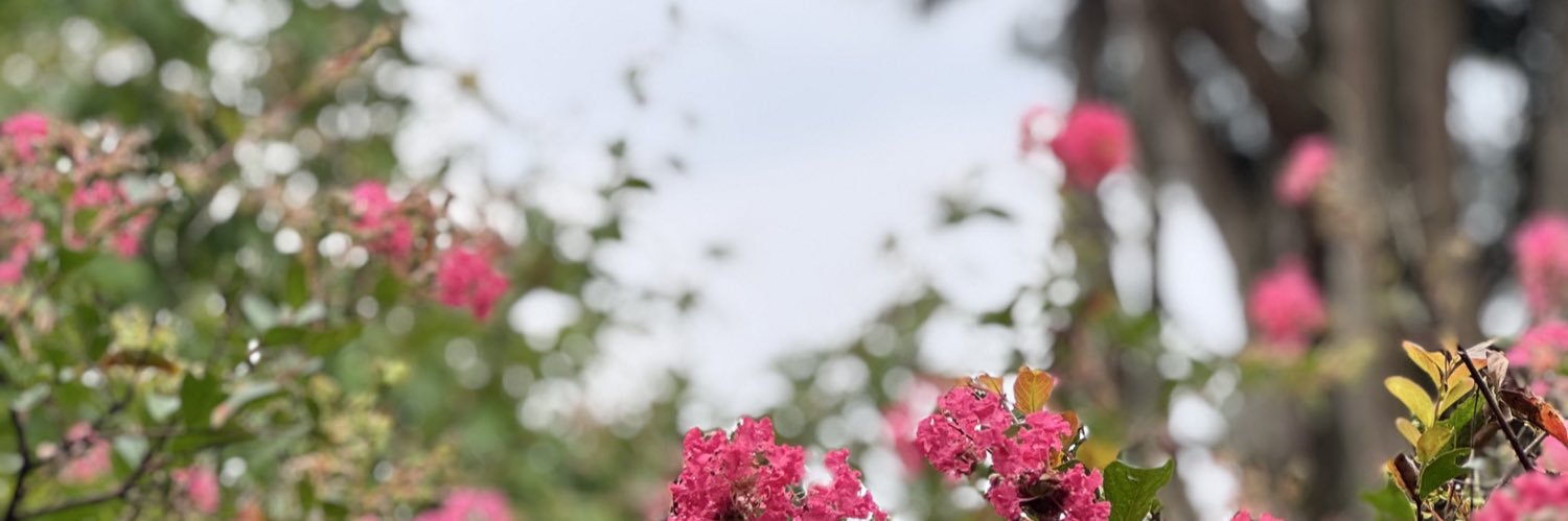 Kay¨̮ banner