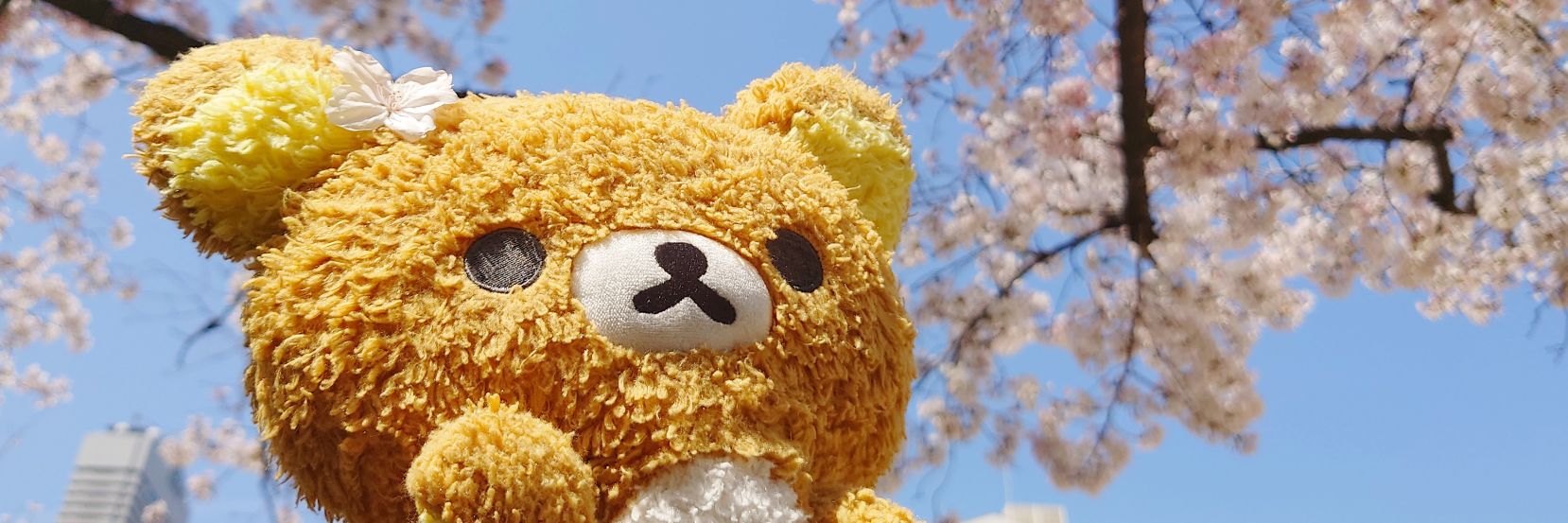 sch_mischef's profile banner image
