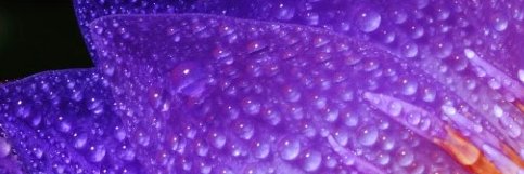 umanchanda's profile banner image