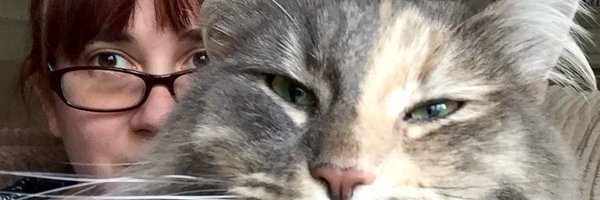 duckiemonster Profile Banner