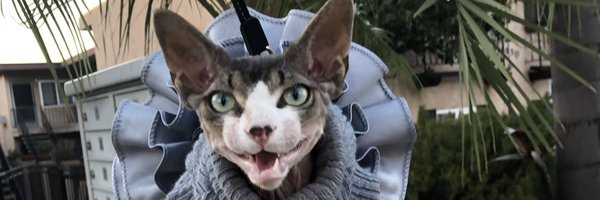 CameronTako Profile Banner