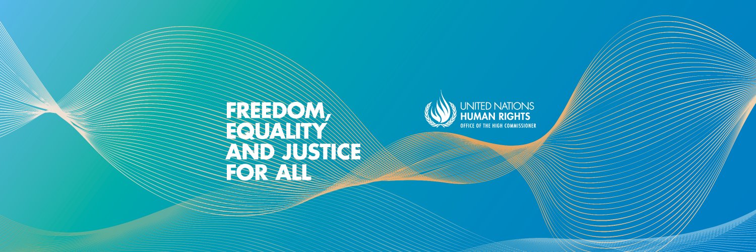 UN Human Rights Profile Banner