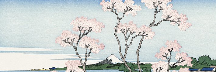 NA_Studio_Japan's profile banner image