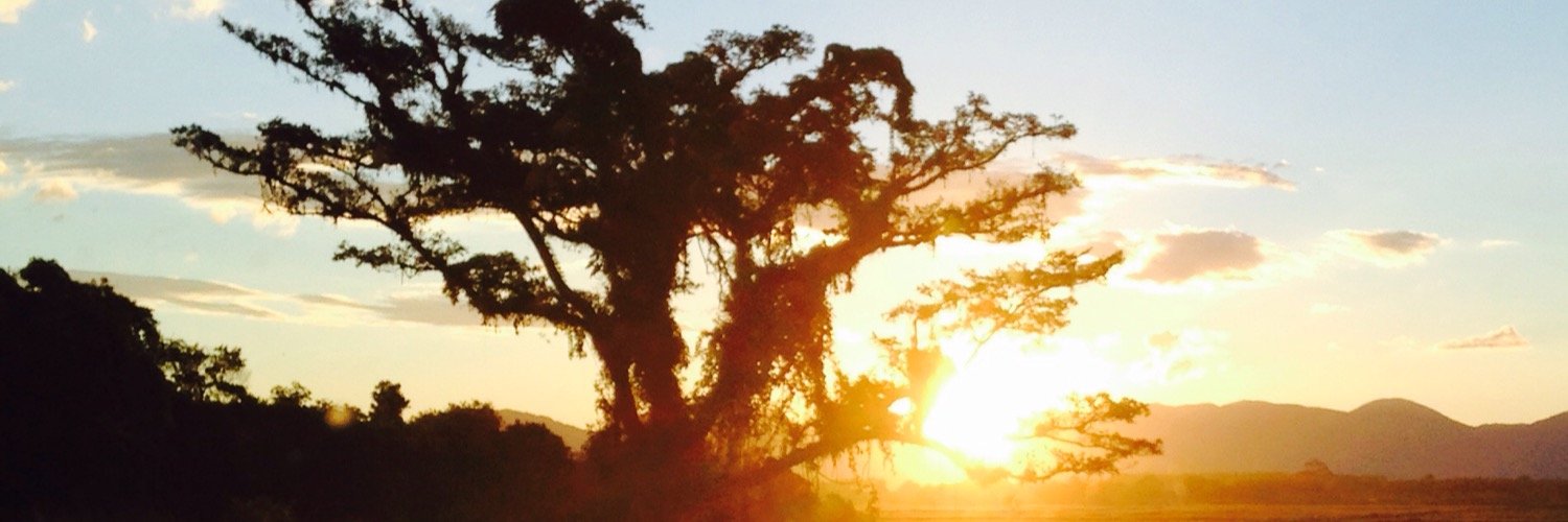 ananascimento_'s profile banner image